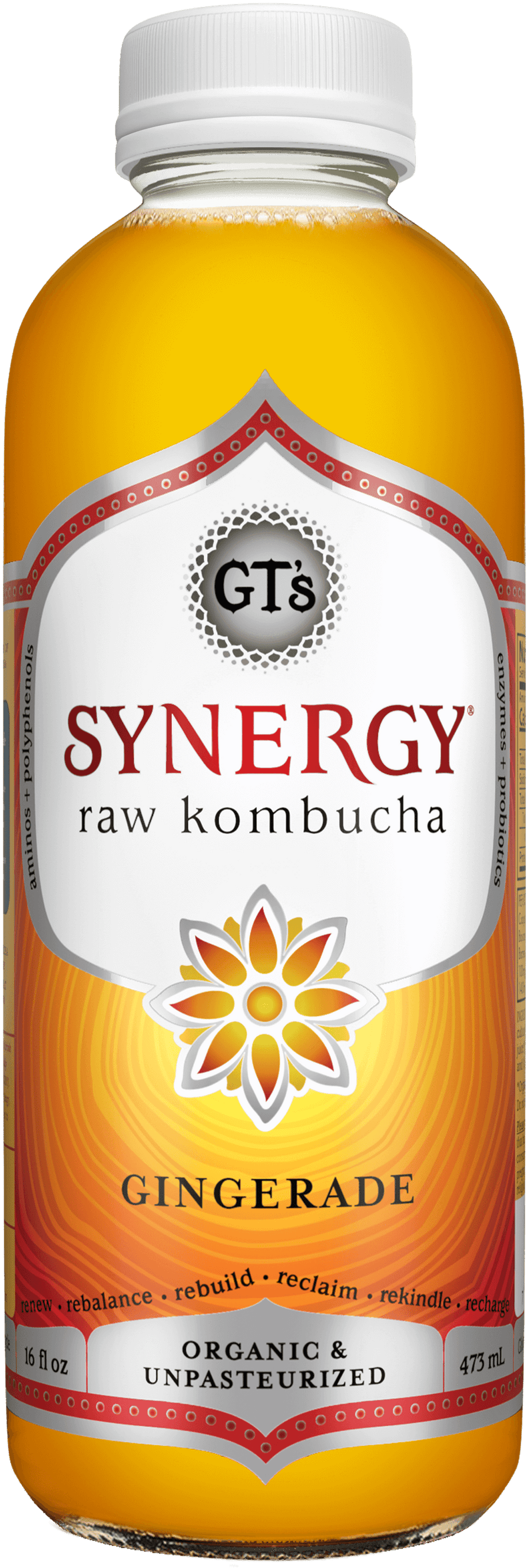 Synergy Gingerade Kombucha 6CT 16OZ Loose BTL