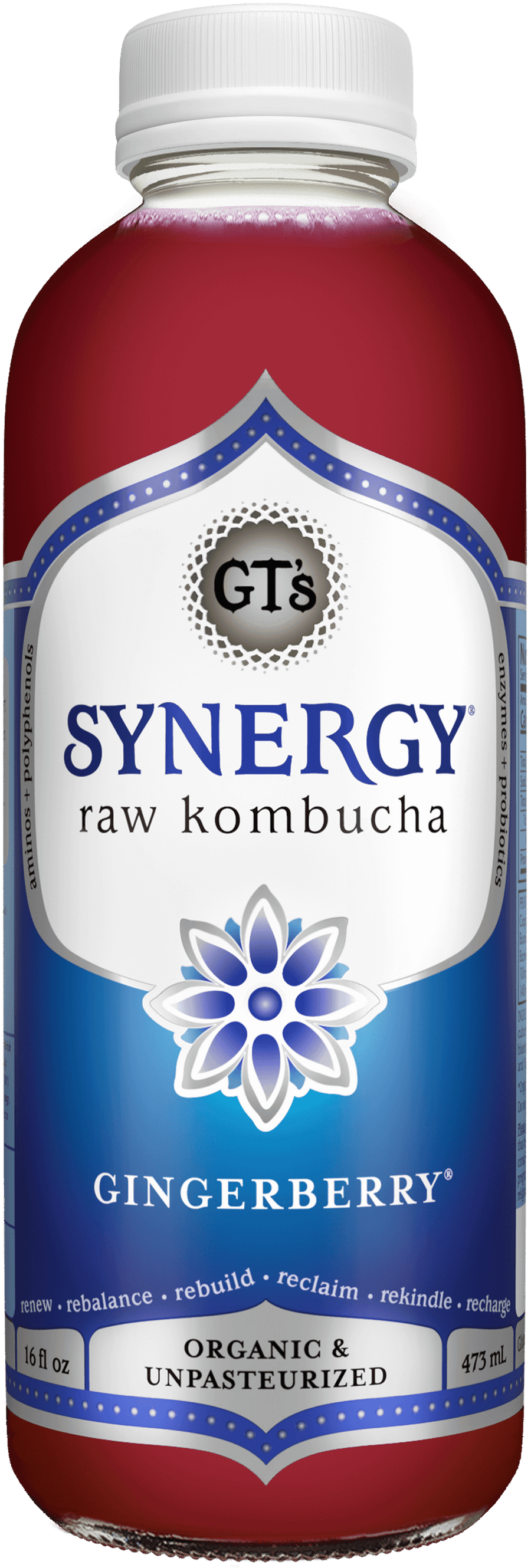 Synergy Kombucha Gingerberry 6CT 16OZ Loose BTL